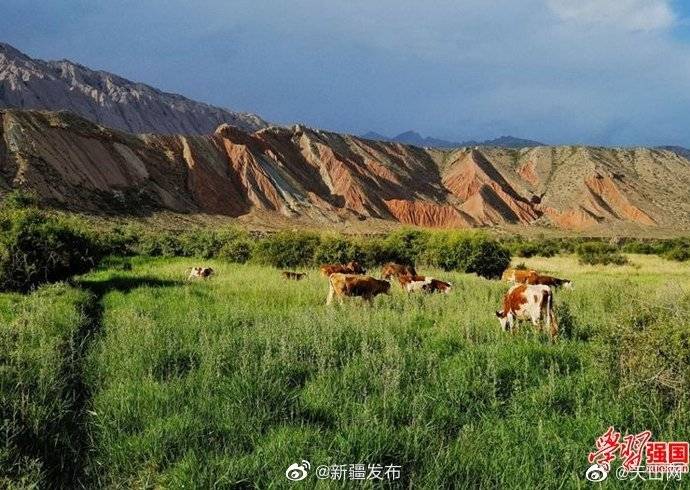 新疆拜城:天山深处藏着苏杭村