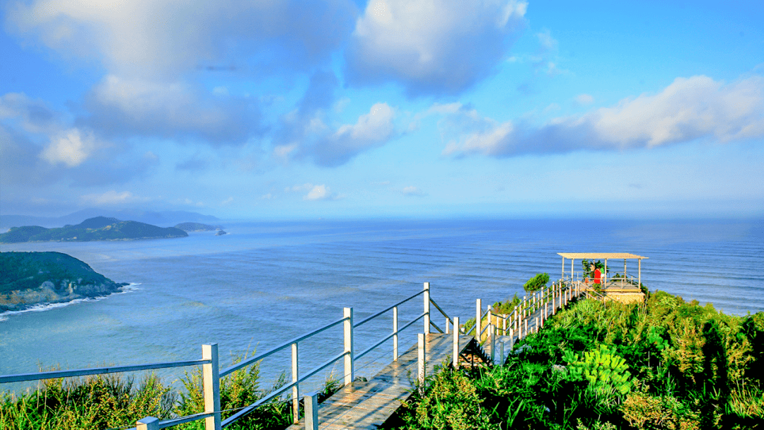 苍南环海公路上的风景,已经到了最美的时候啦!