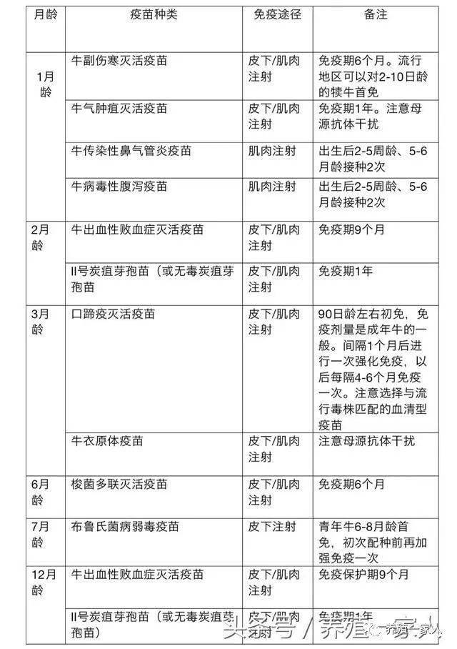 表1犊牛和后备青年牛的免疫程序