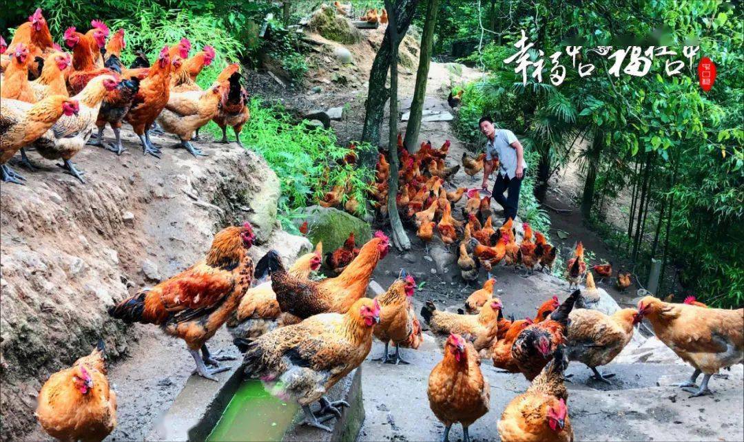 广元市有多少人口(3)
