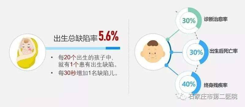 提高人口素质的举措_综合素质评价素材图片(3)