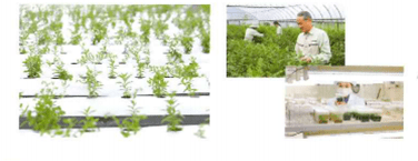 水宝宝|日本家庭主妇最爱的懒人面霜！3分钟让大干皮变成“水宝宝”！每7秒卖出一瓶，李佳琦疯狂打call！