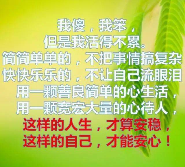 我傻我笨,但我不是傻子