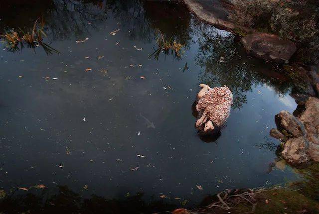 梦途中的双马与水井,探索内心深处的力量与宁静 梦途中的双马与水井,探索内心深处的力量与宁静