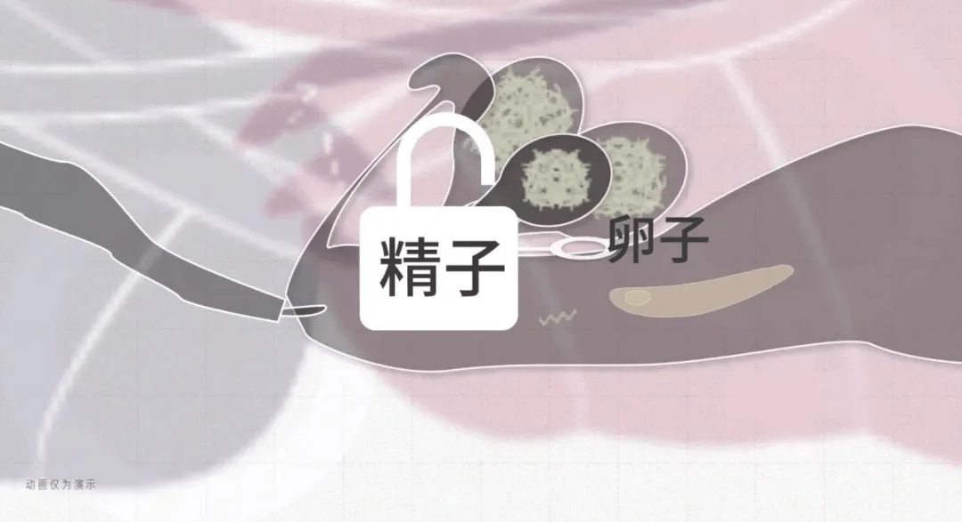 f30037b5053f4268b5ad0f9a9e666d6e.png