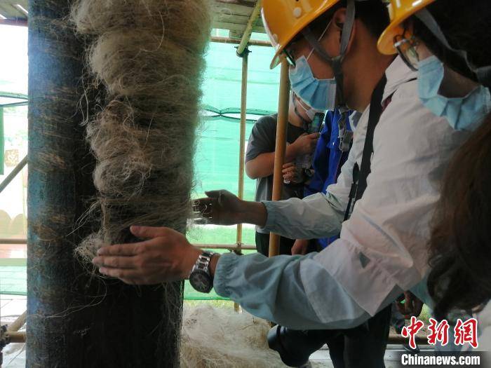 油饰|故宫修缮知多少 工匠“老手”在沈阳故宫“压麻灰”
