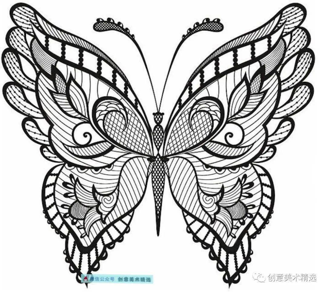 黑白线描临摹素材——漂亮的蝴蝶主题线描装饰画