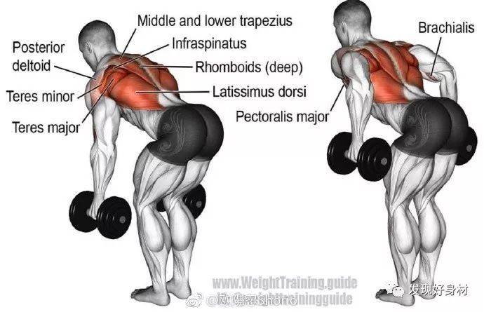 20岁宁夏小伙练就一身肌肉,收获迷妹无数!_太阳成集团tyc(图22)
20岁宁夏小伙练就一身肌肉,收获迷妹无数!_太阳成集团tyc(图22)