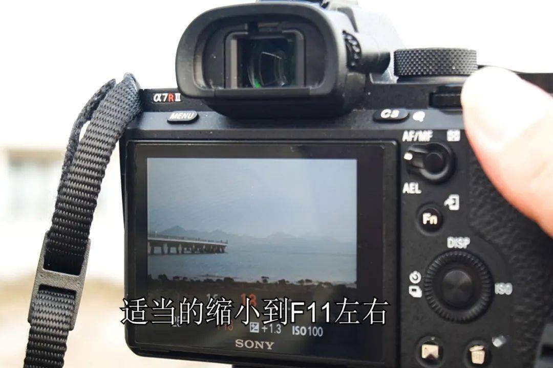 8d2d162f00dc4c99a7095c77fc6fd633.jpeg