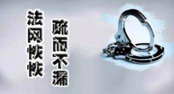 天后|撞倒老人肇事逃逸，2天后在家放声高歌，男子被抓前仍装糊涂