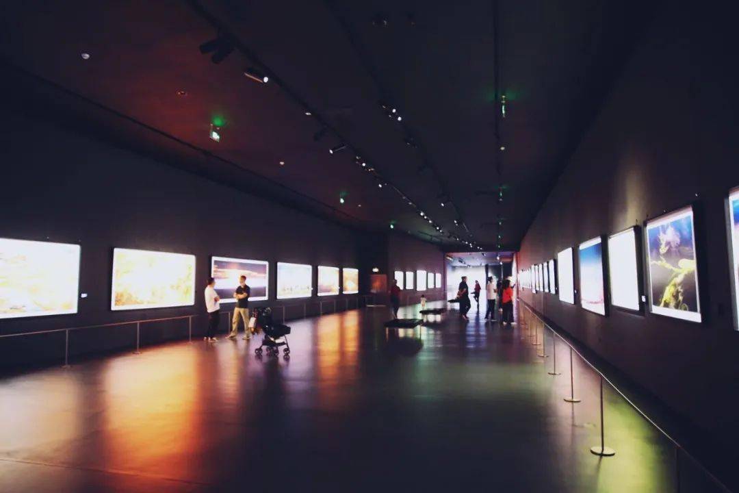 9c528a720e92417cb4e0709e0d3b52d4.jpeg
