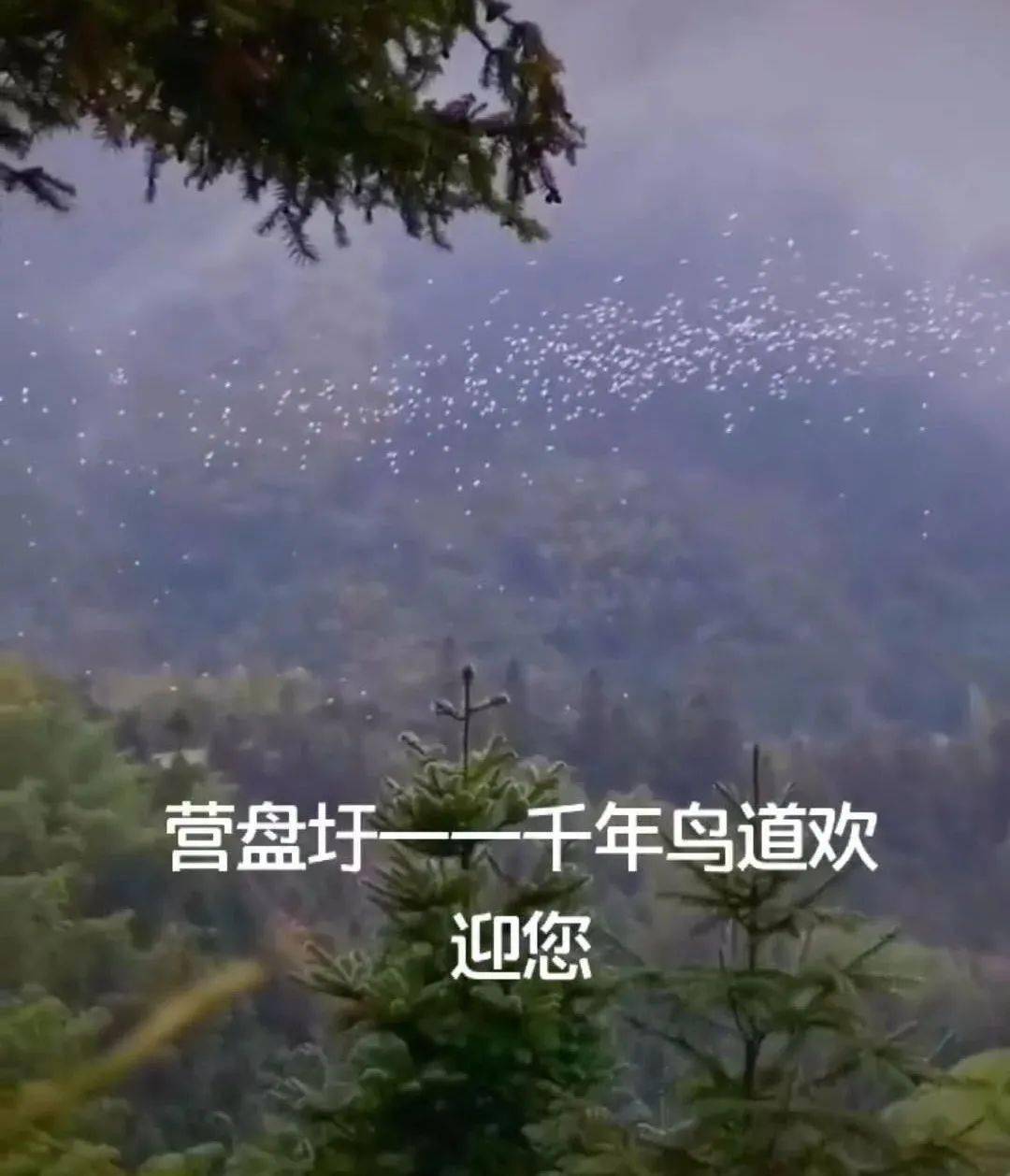 志满圩人口(2)