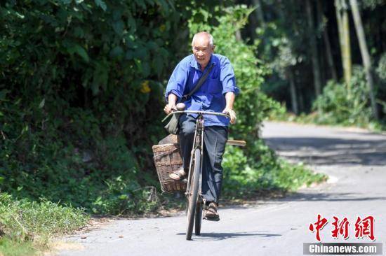 老人|长沙老人为抗战烈士守墓50余年