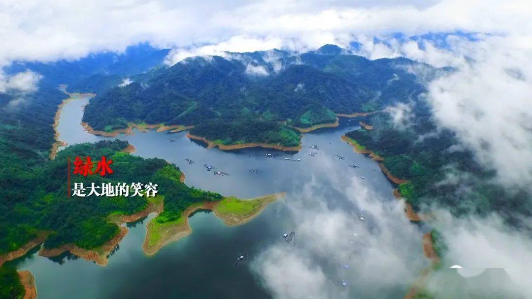 龙岩市区人口有多少_龙岩市区地图(2)
