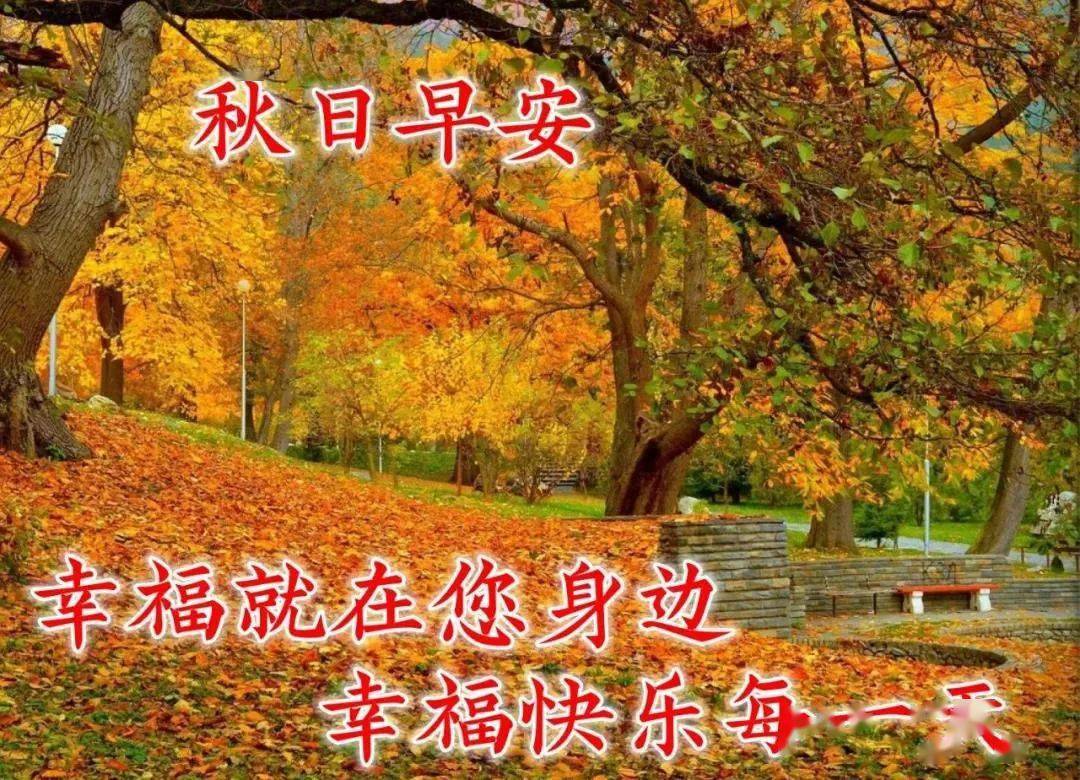 6张最新有创意秋天枫叶早安图片带字带祝福语 唯美秋天风景早上好图片
