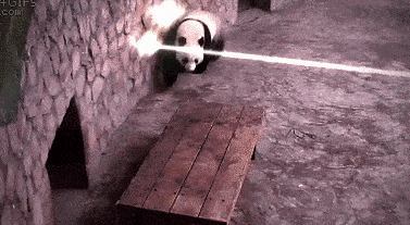 搞笑GIF:交到这样的女朋友 注定每天都有惊喜