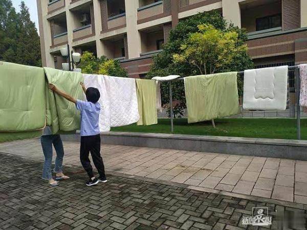 志愿者|“欢迎回家”上海电机学院“小黄人”志愿者在行动