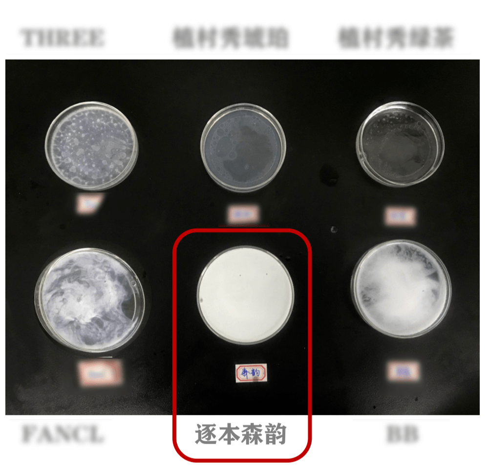 姐姐|《乘破》落幕，没成团的她更火了？
