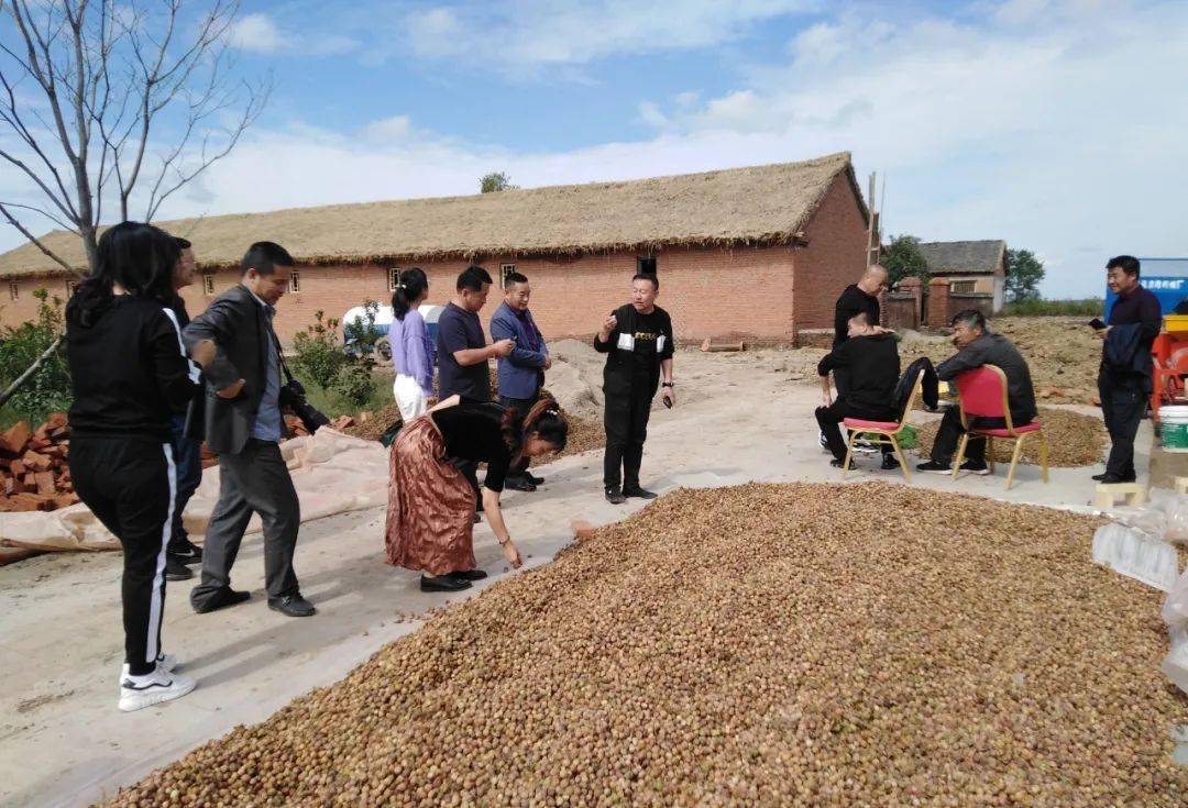 榆树市有多少人口_吉林省榆树市图片