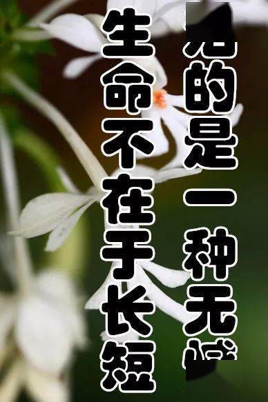 ba5053171f6c44039e027fea6bb480f3.jpeg