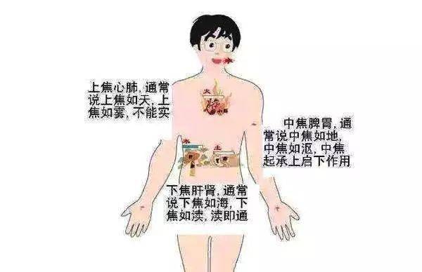 5b3c2a3bae87465f8d1d55504c0638d3.jpeg
