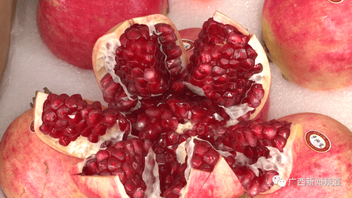 玫瑰|秋果上市，阳光玫瑰葡萄等水果“新宠”价格有所下降