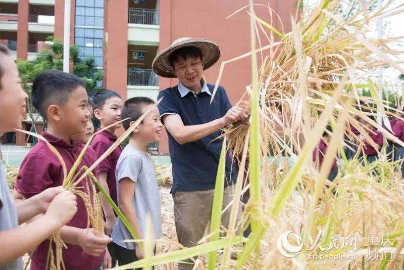 中小学|培养节粮爱粮好习惯，各地中小学有这些妙招儿 | 校园最“食”尚②