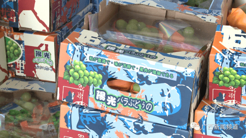 玫瑰|秋果上市，阳光玫瑰葡萄等水果“新宠”价格有所下降