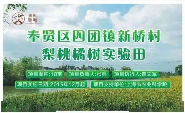 酒厂实地考察调研为了支持上海市奉贤区四团镇新桥村推进乡村振兴工作