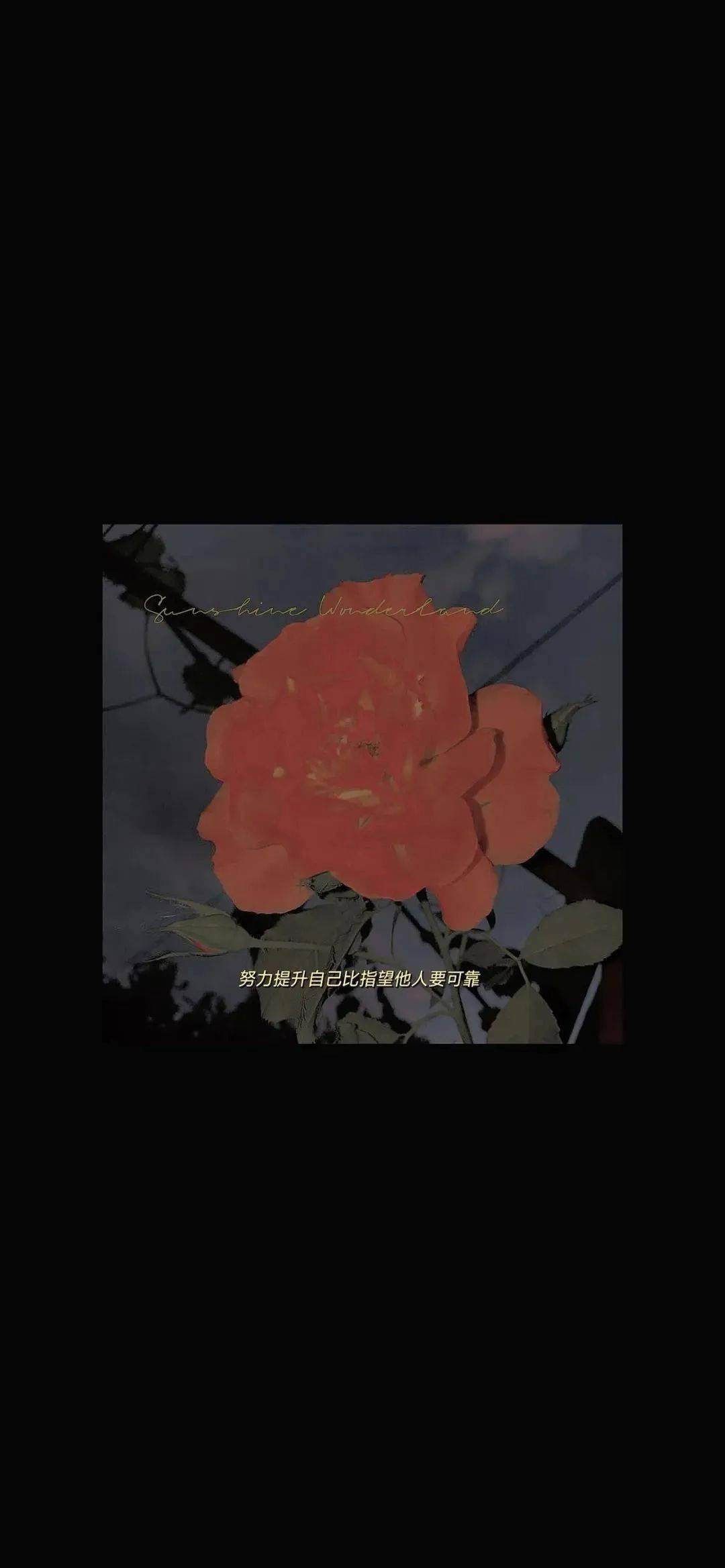 复古的个性锁屏壁纸,适合有趣的灵魂