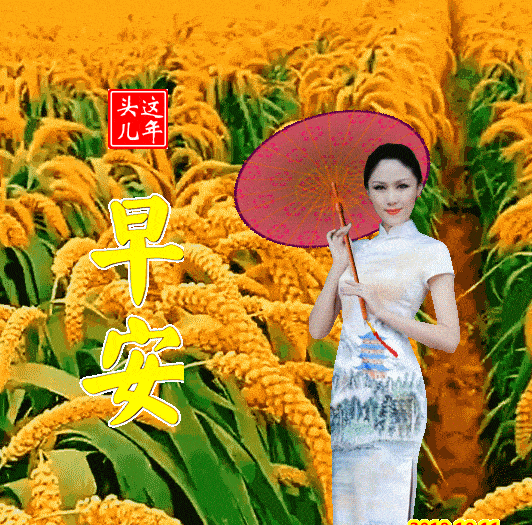 不用打字就可以聊天的图片_动态