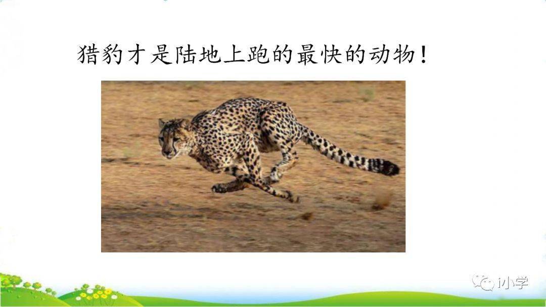 04f44ed2be604a048474f0b5d095ac89.jpeg