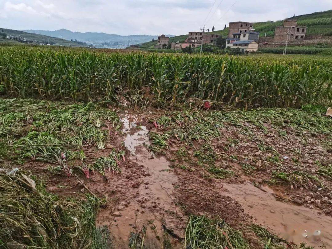 多图直击强降雨致富源一社区发生洪涝灾害约400人受灾宣威一路段发生