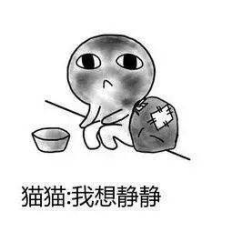 静静英语怎么写