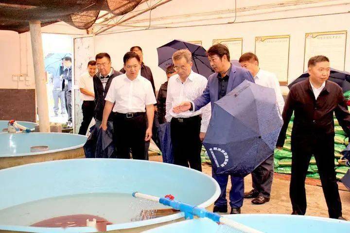 彭水县经济总量_彭水县图片