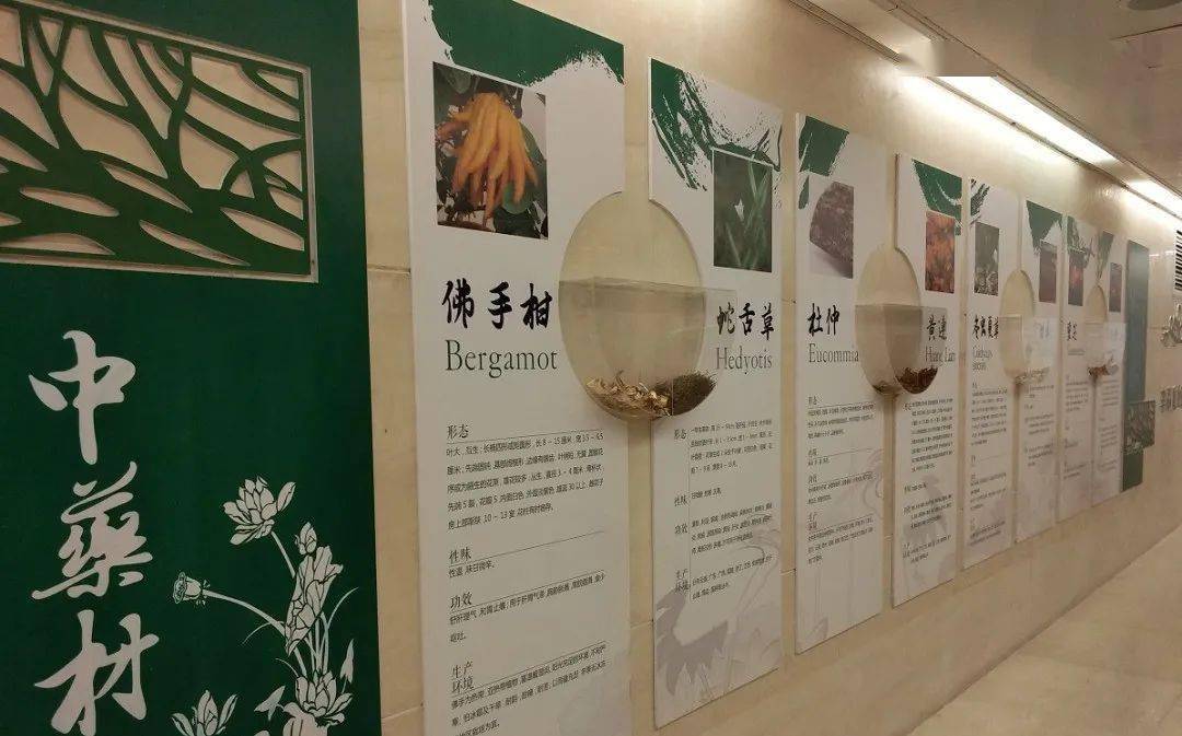 【中药】中草药添加剂优势在哪里？ 搜狐大视野 搜狐新闻 