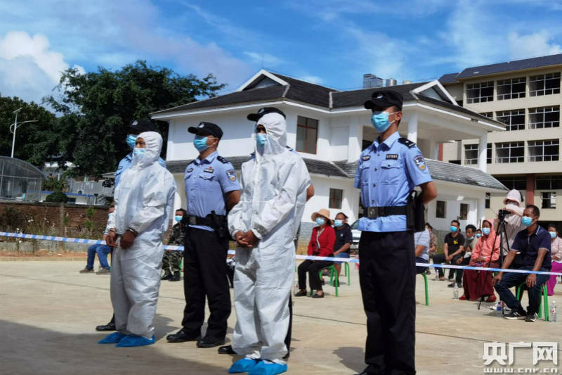西双版纳两名村民毁林种茶被判刑