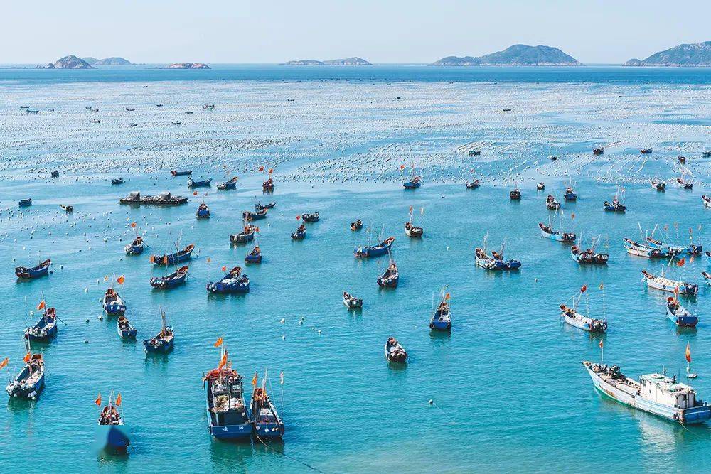 舟山是怎么从小透明变成中国最大渔场的?