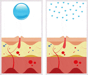 图鉴|《当代上海女子图鉴》,这也太太太真实了吧!