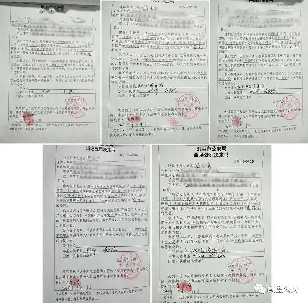 中国公安厅人口查询_中国公安厅校花美女(2)