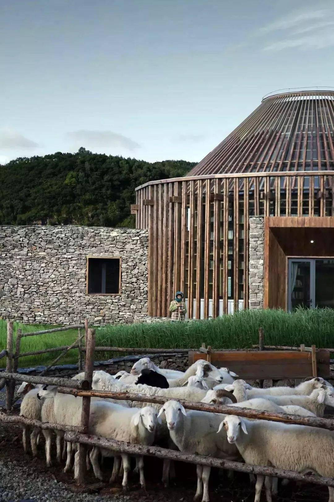 美术|C位出道的宁静曾经是动画师，网友：原来演艺圈有这么多隐藏的美术生？