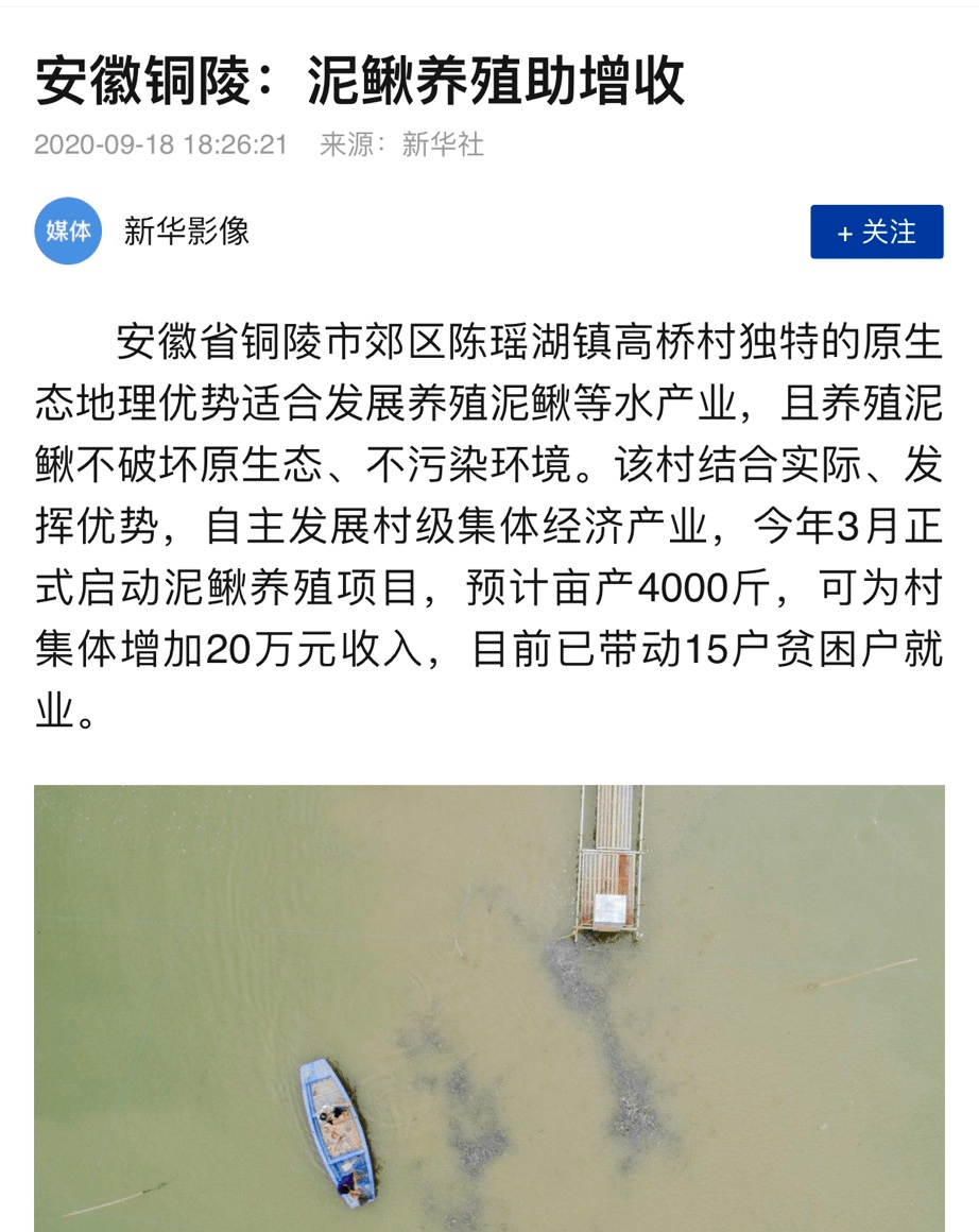 脱贫攻坚丨铜陵:泥鳅养殖助增收_陈瑶湖镇