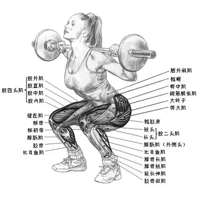 aa8ba16ce5374219bc92914bc300f59d.png