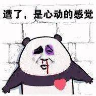 图鉴|《当代上海女子图鉴》,这也太太太真实了吧!