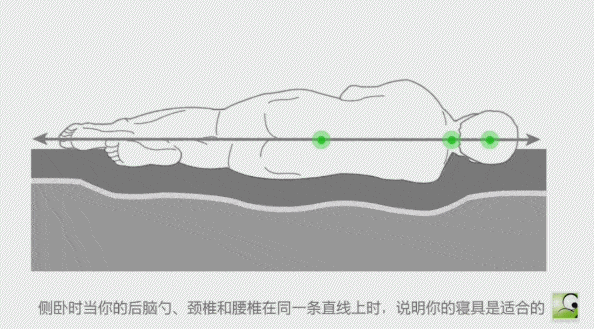 定制|? 睡过「私人定制」的枕头,你才知道什么叫舒服!