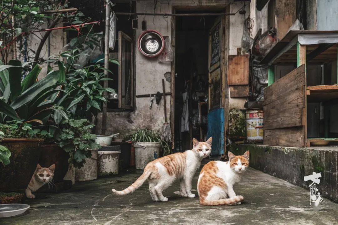 邛崃居住人口_邛崃天台山图片(2)