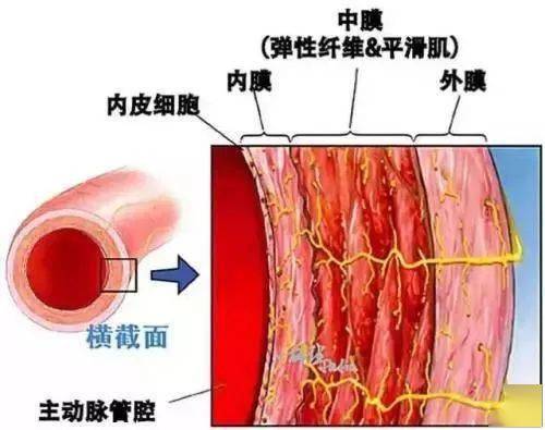 血管|人体最痛的六种病，痛风仅排第五！希望你一个都没经历过
