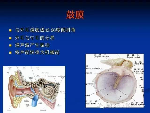 耳部ct及mri解剖