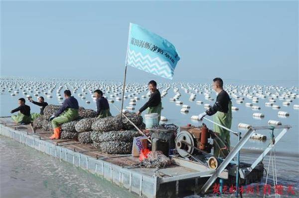 食材|鲜！100秒蒸好一道黄花鱼，米其林一星餐厅入驻武汉