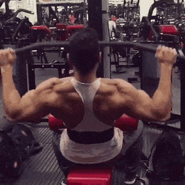 练肌肉最好的时间段 7ef409bcd8b444d9a1c77feb46b11a66.gif